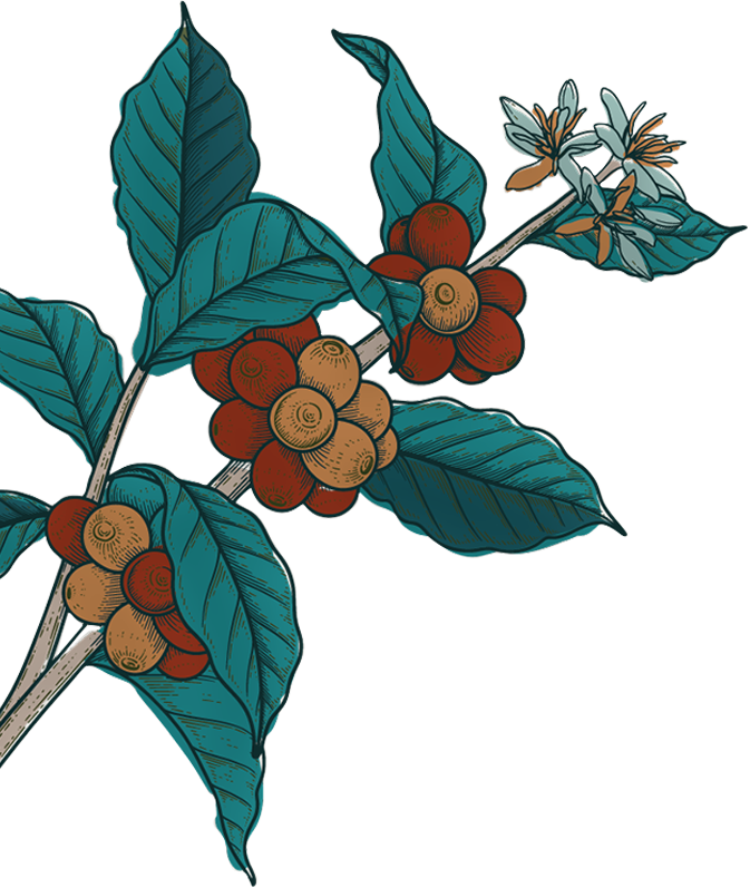 Image Slider 2